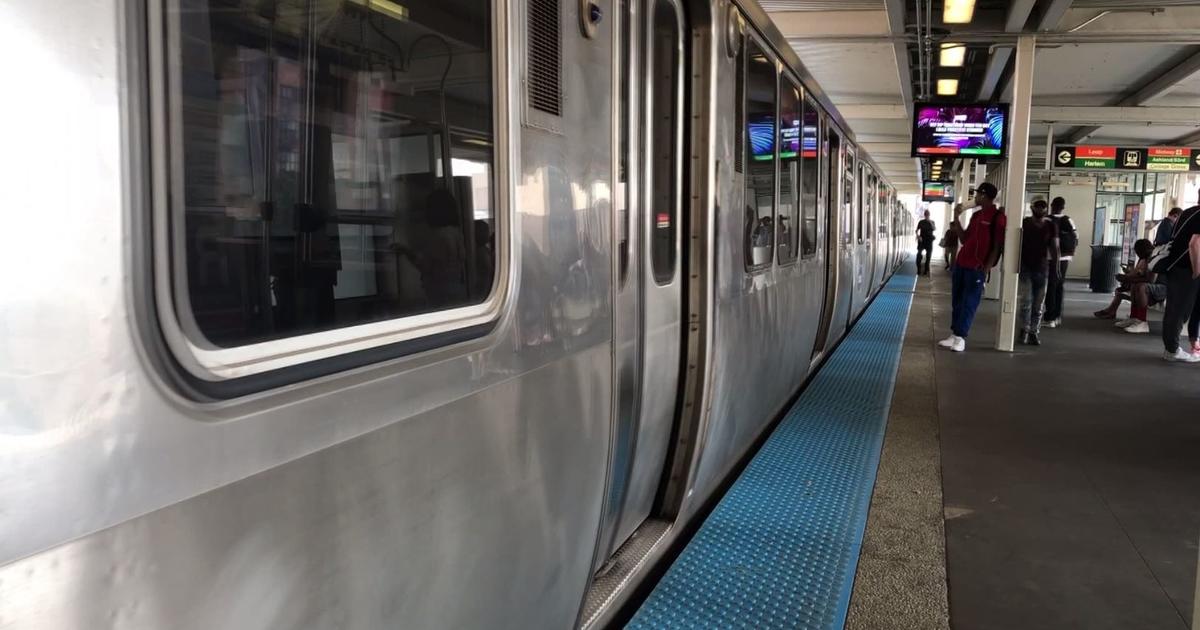 16-Year-Old Robber Mistakenly Shoots Gang-Mate During CTA Train Mugging