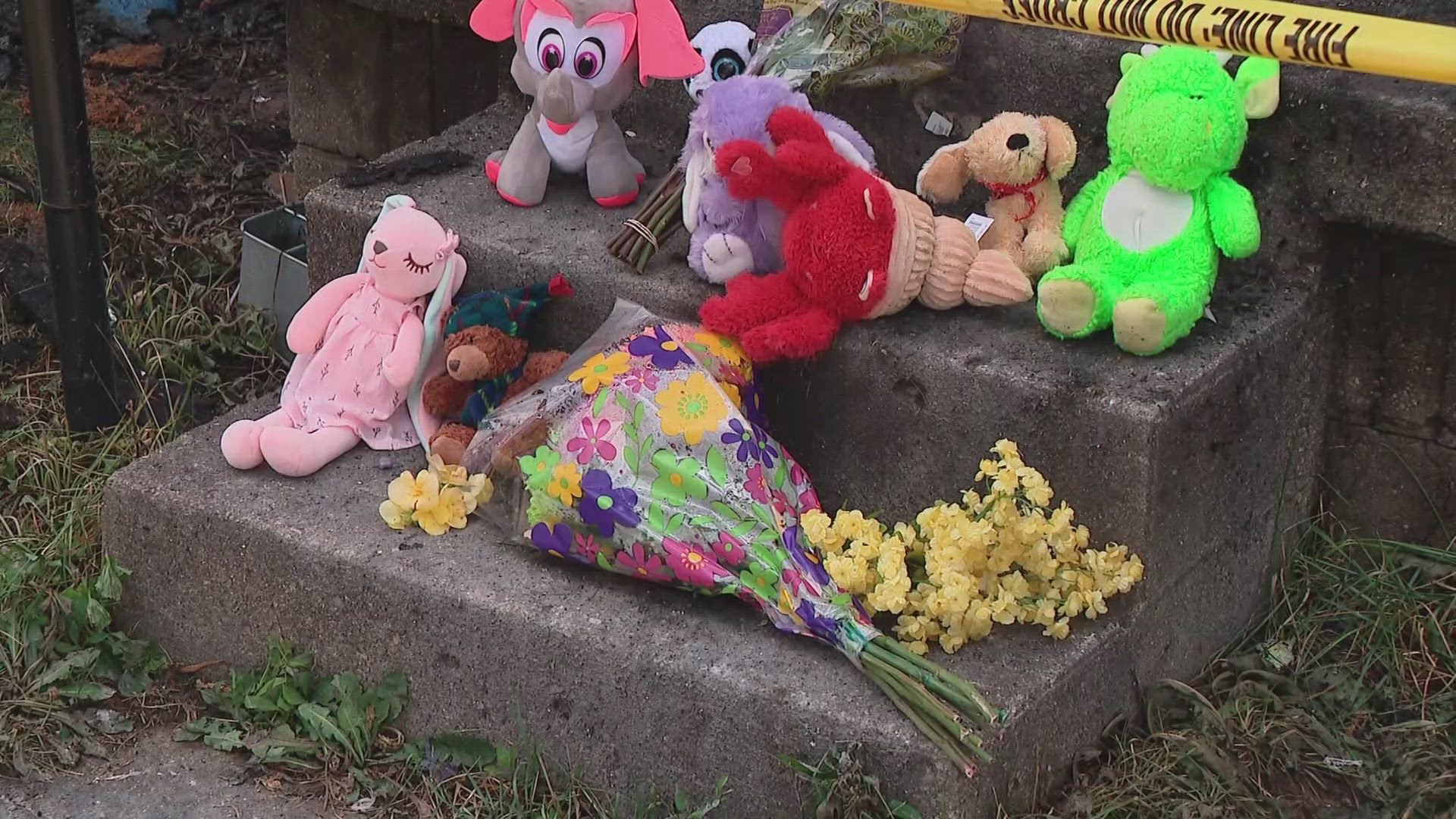 Tragic Ohio House Fire Claims Life of 3-Year-Old Girl and Two Family Dogs