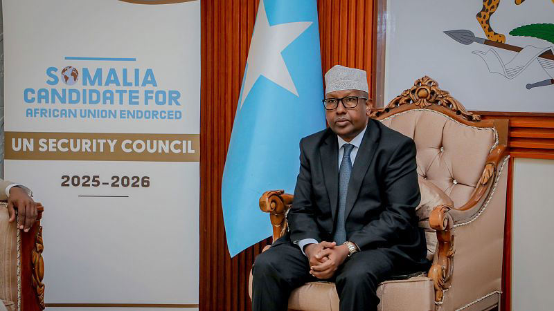 Somalia Secures UN Security Council Seat After Five Decades