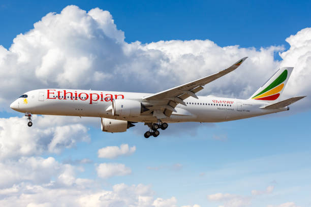 Eritrea Suspends Ethiopian Airlines Flights: Accusations of Malicious Practices and Price Hikes