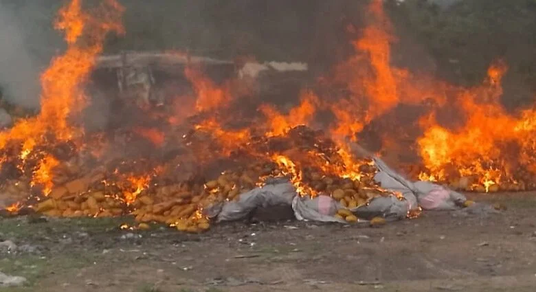 Ghana Customs Destroys GH₵9.2 Million Worth of Expired Goods, Marijuana