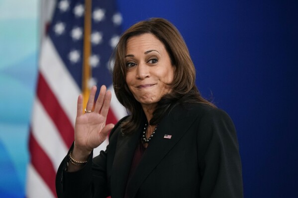 Democratic Party Chairs in All 50 States Unanimously Support Kamala Harris for Presidential Nominee-Reuters