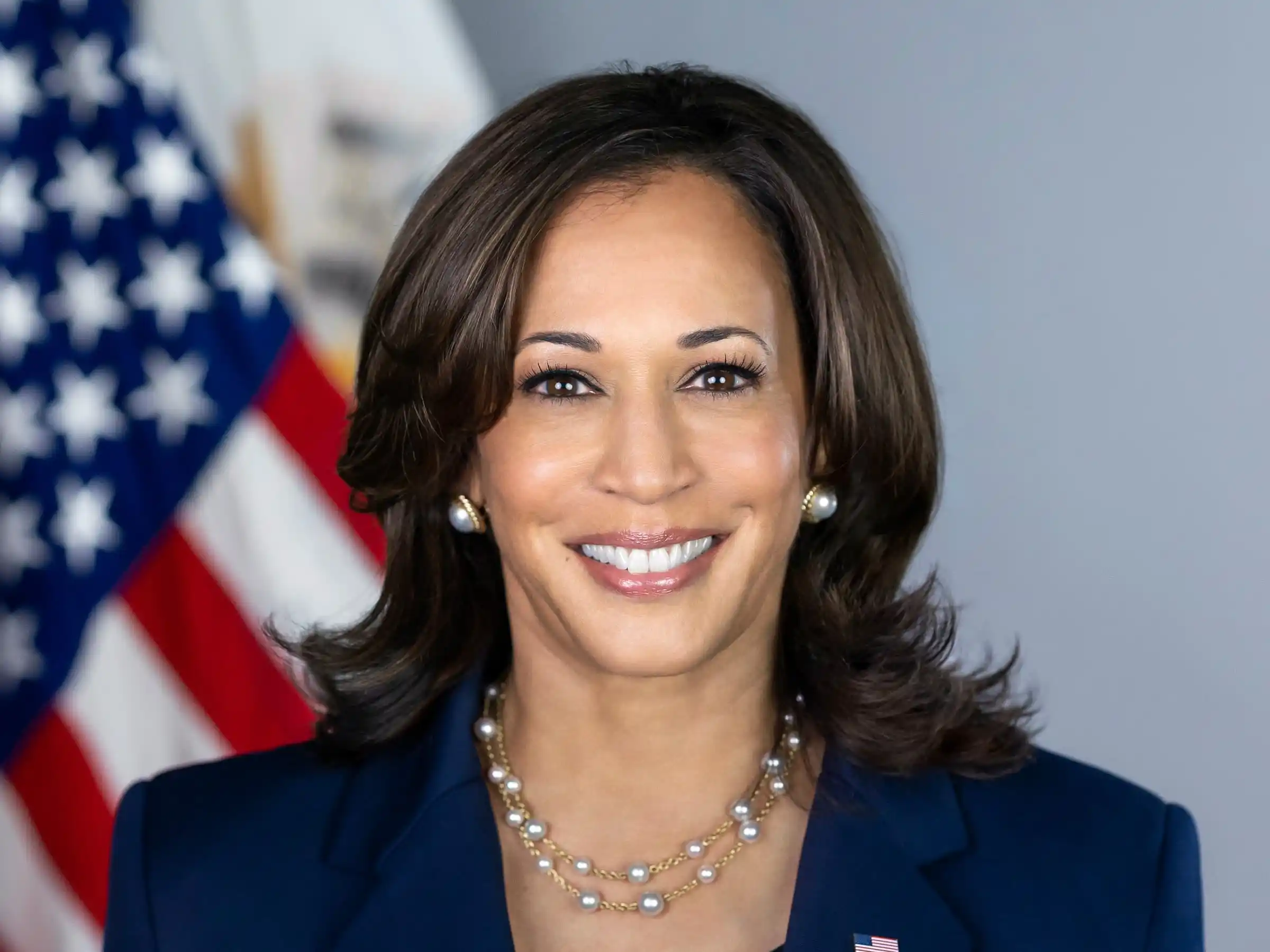 Democrats Rally Behind Kamala Harris for 2024 Presidential Nomination, Some Key Figures Remain Silent