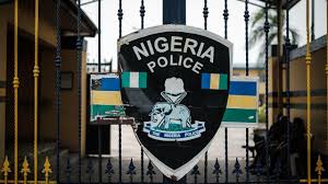 Nigerian Police Receive Test Results in Alleged Rape Case Involving Officer