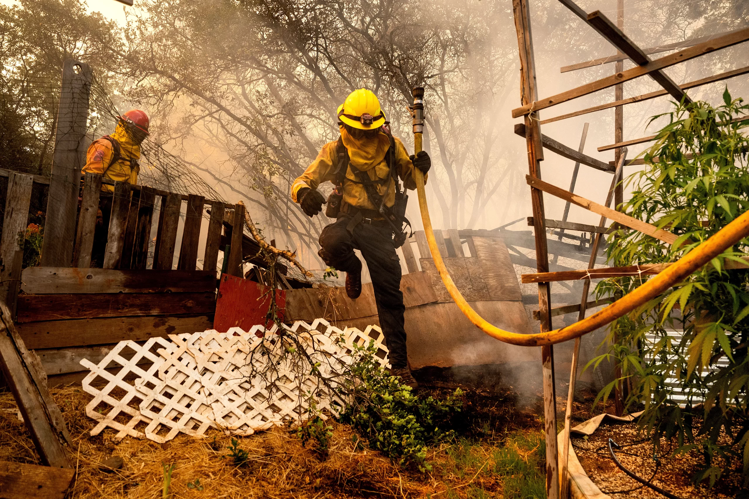 Oregon Firefighting Pilot Killed as Western Wildfires Force Mass Evacuations