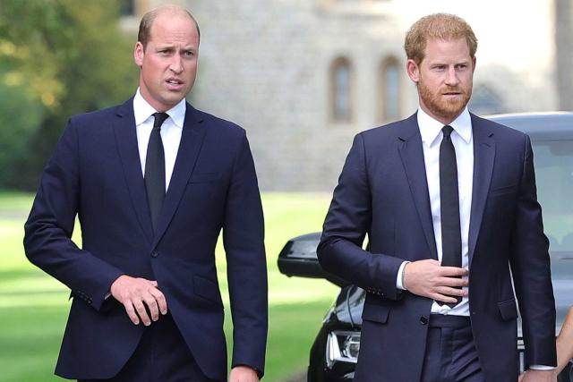 Potential Peace Talks Between Prince Harry and William Despite Recent Funeral Snub