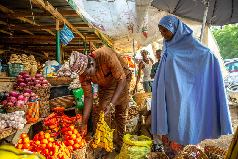 Study Reveals 31.8 Million Nigerians Face Acute Food Shortage Amid Security Challenges and Subsidy Removal