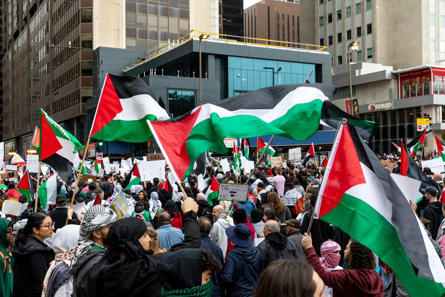 Pro-Palestinian Protests Expected to Draw Thousands at Democratic Convention