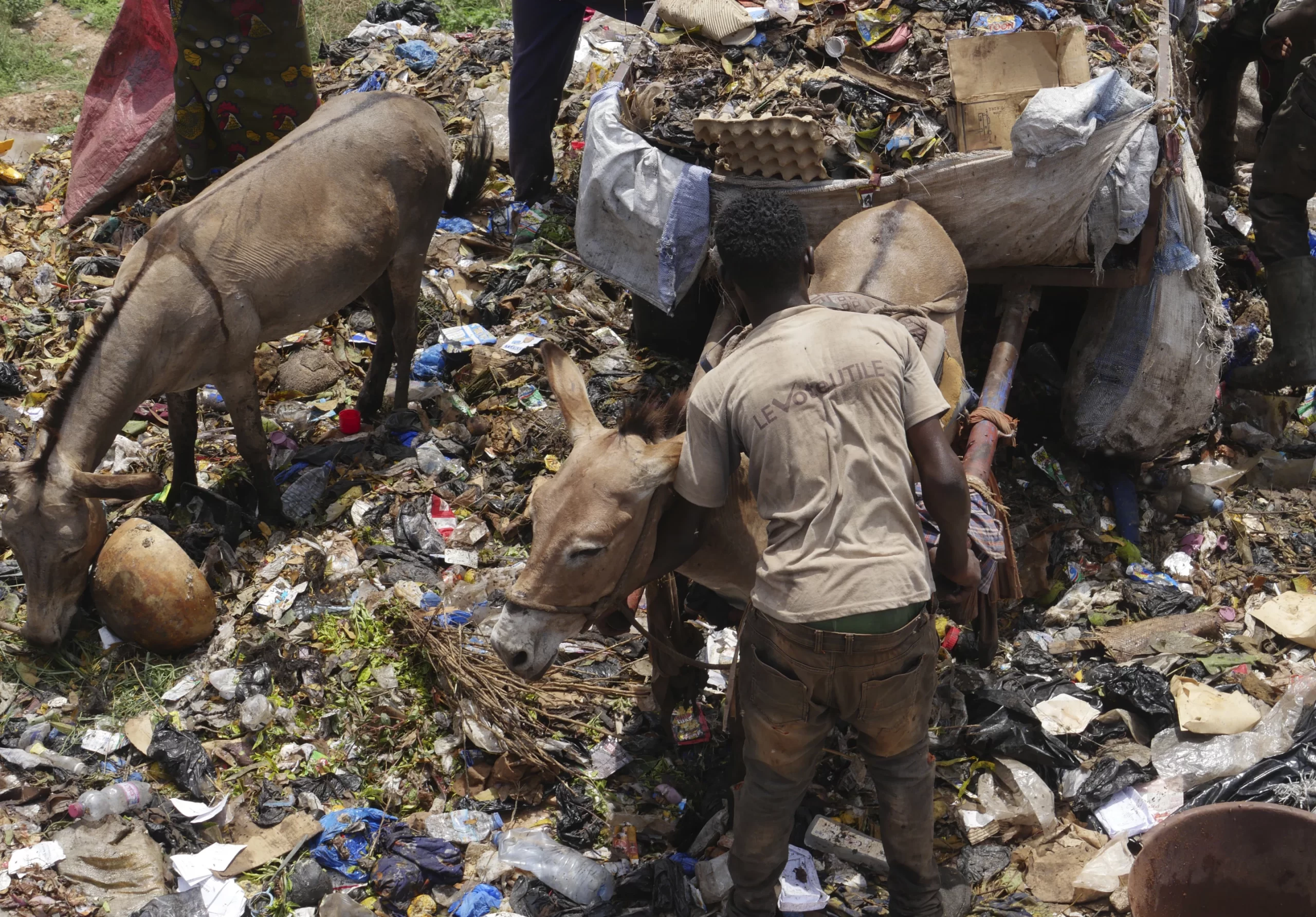 Donkey Carts, Trash Piles, Overtake Mali as Bamako Grapples with Waste Management Crisis