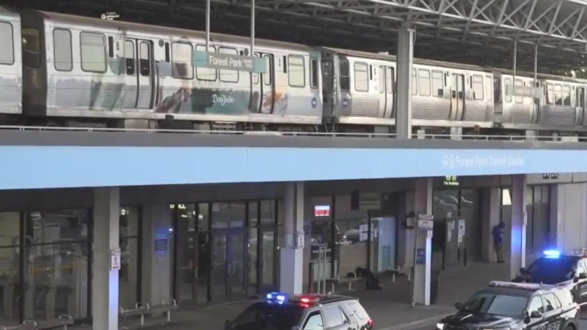 Four Killed in Mass Shooting on Chicago Transit Train, Suspect in Custody