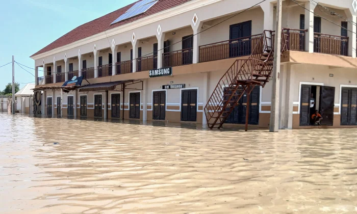 Floods Devastate Nigerian Zoo, Killing Most Animals and Releasing Predators into Community