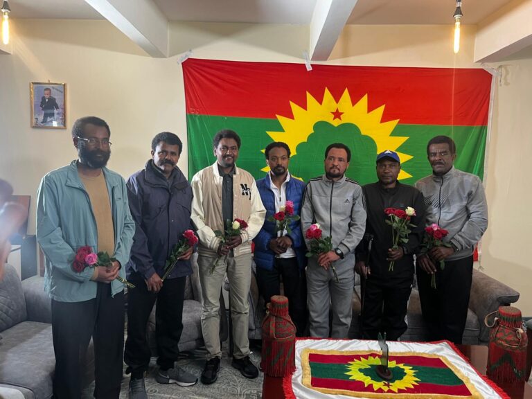 Ethiopia Releases Seven Opposition Leaders After Four-Year Detention