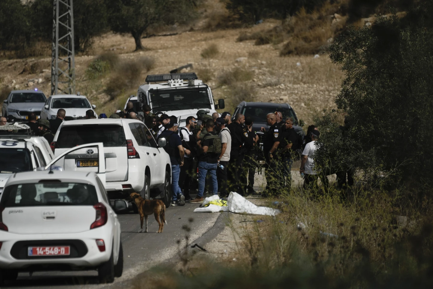 Palestinian Militants Kill Three Israeli Police Officers in West Bank Attack