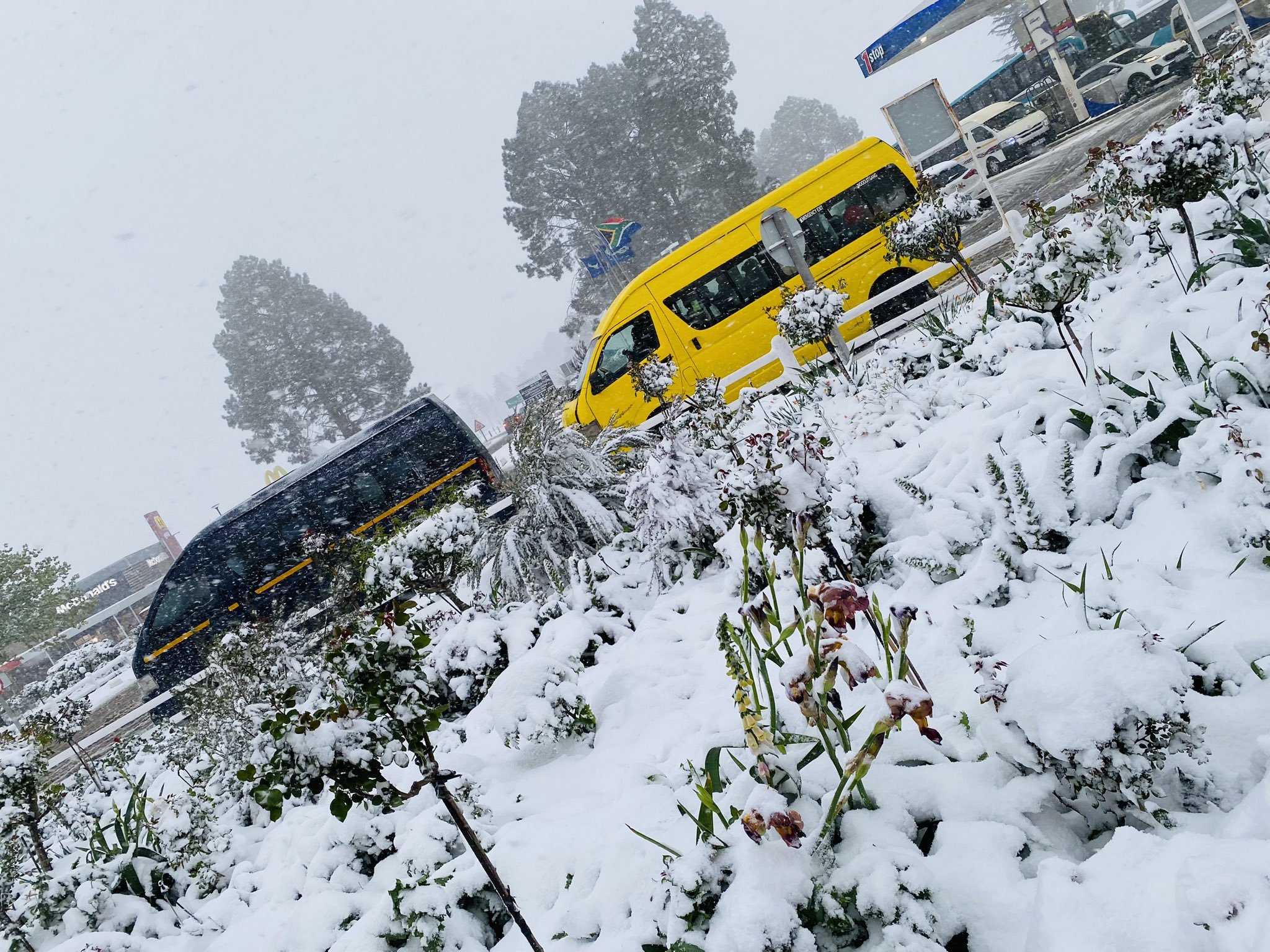 Heavy Snowfall Causes Major Disruptions in South Africa