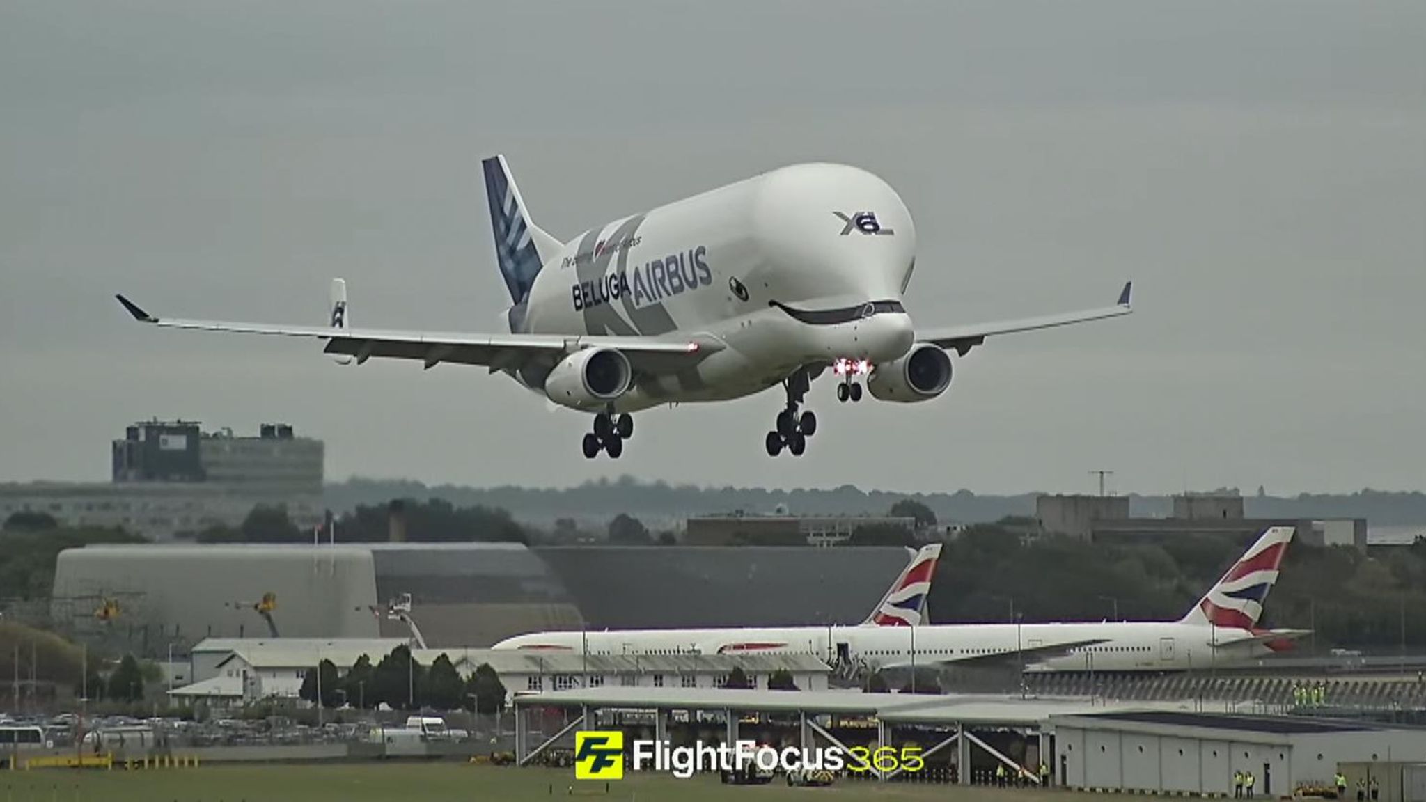 Airbus Beluga Lands at London’s Heathrow Airport for Special Delivery