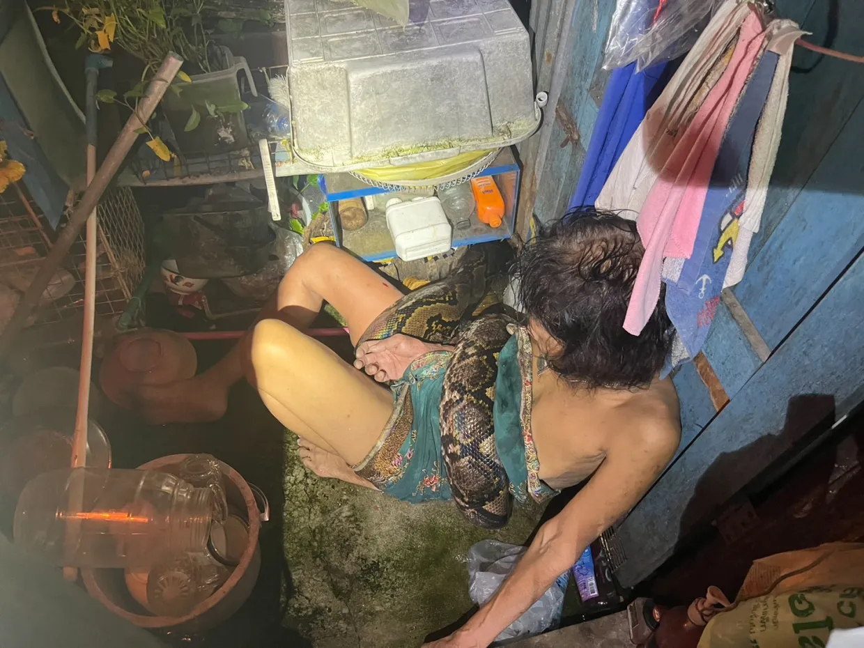 64-Year-Old Woman Survives Terrifying Python Attack in Thailand