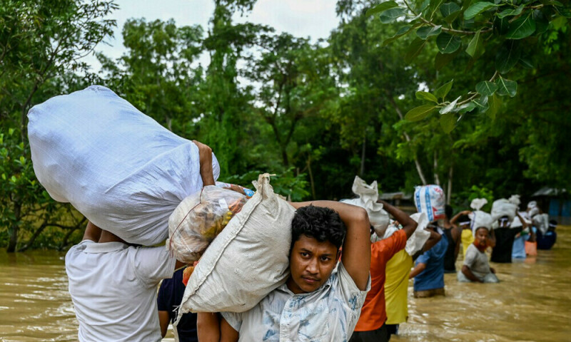 Devastating Floods Destroy 1.1 Million Tons of Rice in Bangladesh, Prompting Import Surge