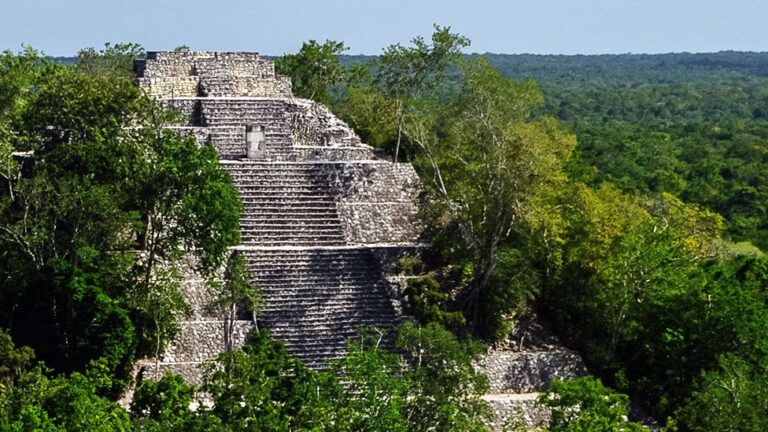 Massive Maya City Discovered in Mexican Jungle by PhD Student