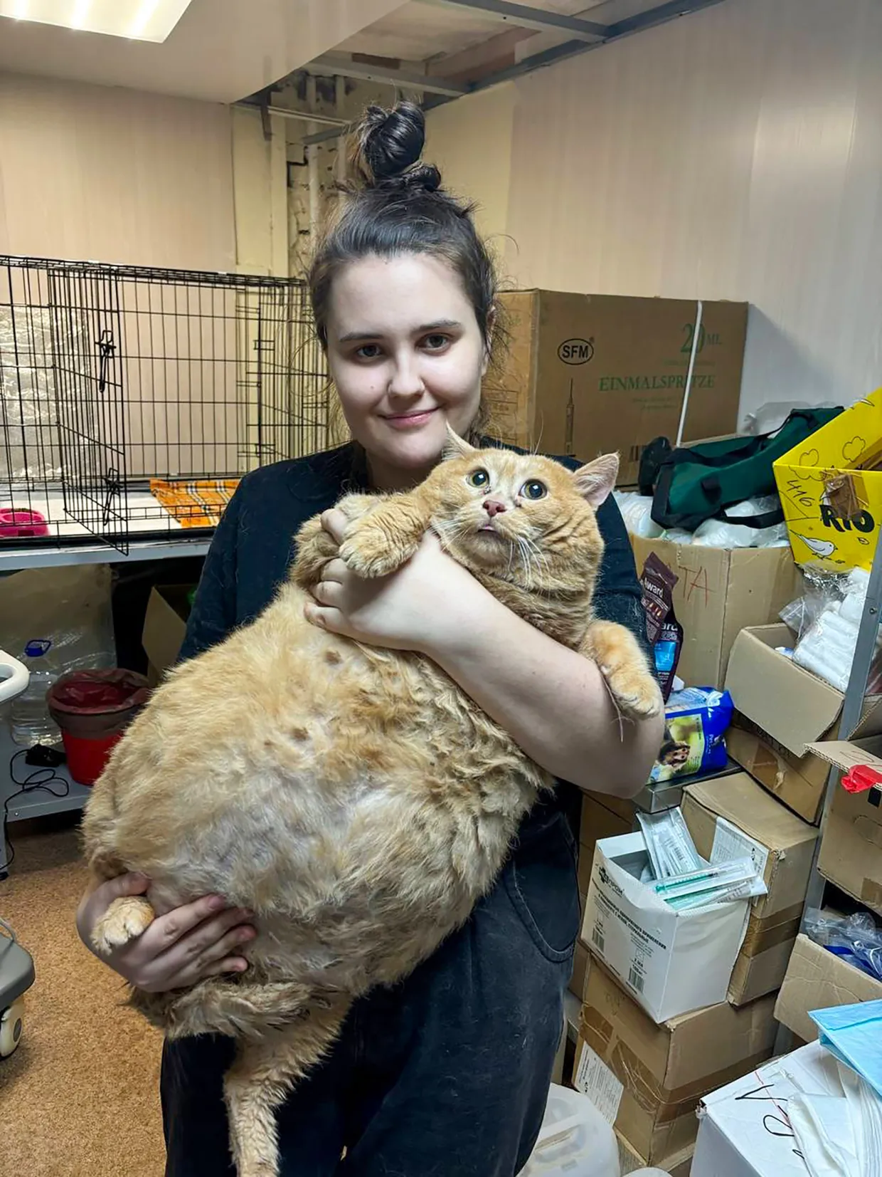 World’s Fattest Cat, Crumbs, Dies After Weight Loss Journey at Feline Fat Camp