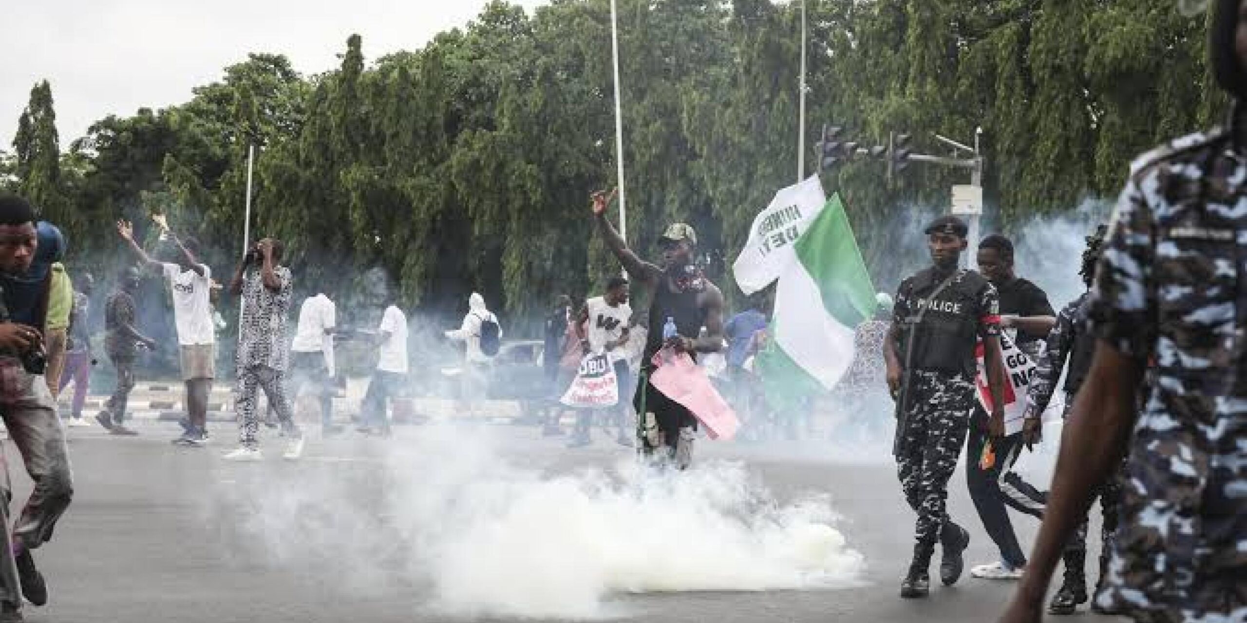 Nigerian Police Disperse #FearlessInOctober Protesters in Abuja with Tear Gas, Live Ammunition