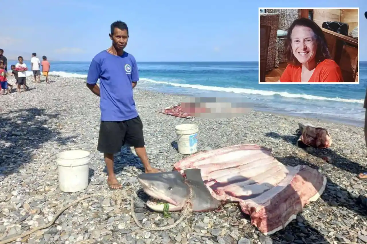 American Tourist Body Found in Belly of Shark During by Indonesian Fishermen