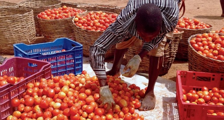 Nigeria’s Inflation Hits 33.88% Amid Food Crisis, Natural Disasters