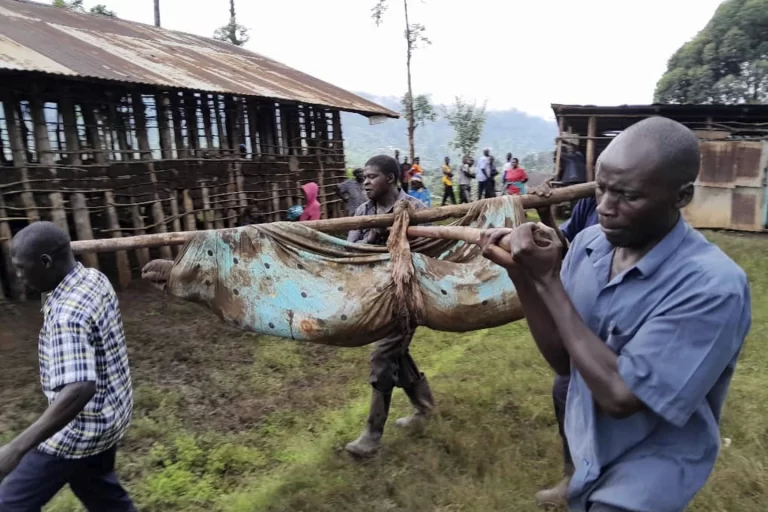Uganda Landslide Deaths Climb to 20 as Recovery Efforts Continue