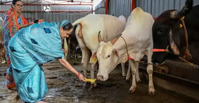Indian State Expands Beef Ban, Prohibits Public Consumption