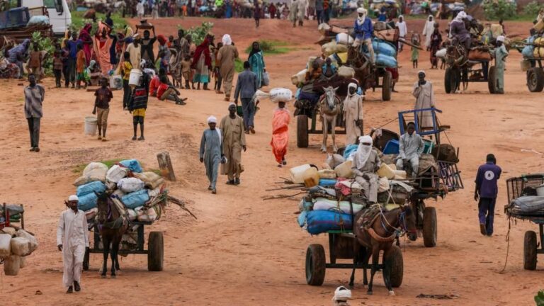 Over 700 Killed in Sudan’s al-Fashir Siege, UN Rights Chief Reports 
