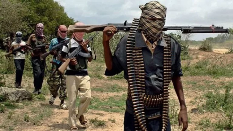Gunmen Abduct Over 50 Women and Children in Nigeria’s Zamfara State