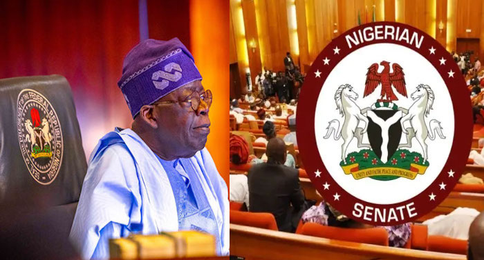 Nigerian Lawmakers Pass Bill Banning Corn Exports Amid Food Crisis