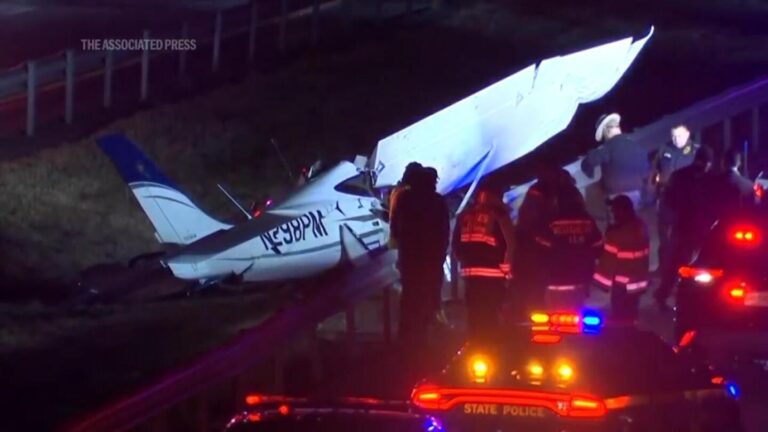 Single-Engine Plane Crash on New York Interstate Claims Life, Disrupts Major Highway