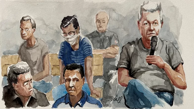 50 Men Accused in Mass Rape of Gisèle Pelicot Face Sentencing in France