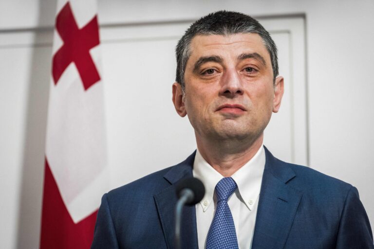 Former Georgian Prime Minister Hospitalized After Assault, Blames Government 