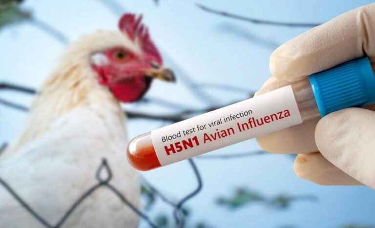 Louisiana Reports First U.S. Death Linked to H5N1 Bird Flu