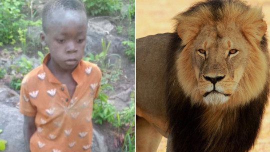 7-Year-Old Zimbabwean Boy Survives 5 Days in Lion-Inhabited Game Park