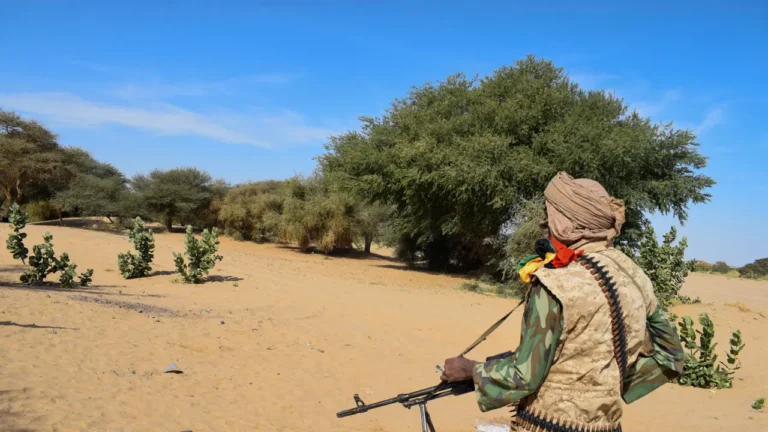 Mali Army Airstrike Kills 18 at Market in Northern Region, Separatists Say