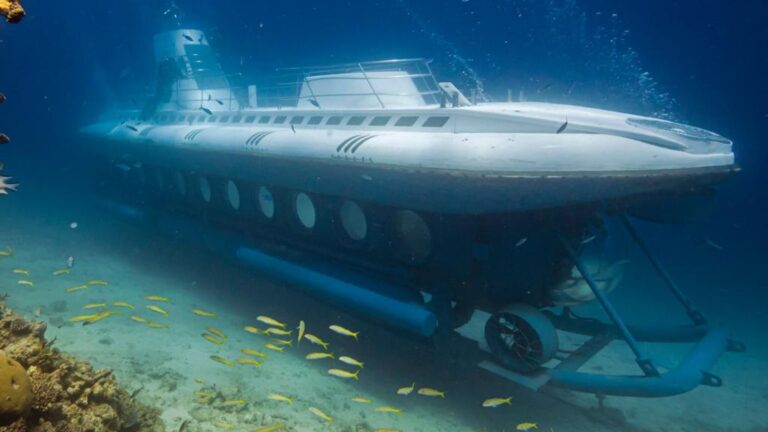 6 Russians Dead, 39 Tourists Rescued After Submarine Sinks in Egypt’s Red Sea