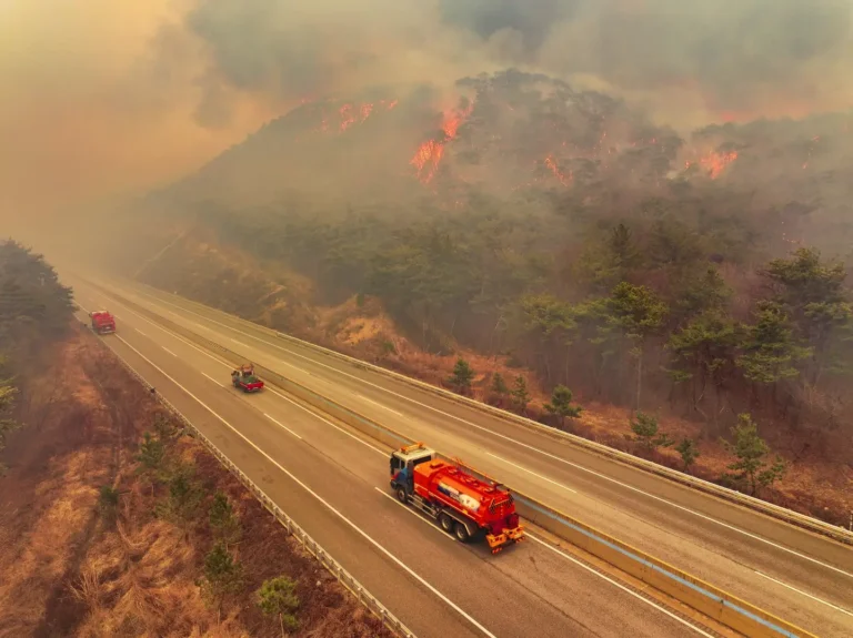 Wildfires Devastate Southern South Korea, Killing 18 and Destroying Historic Buddhist Temple
