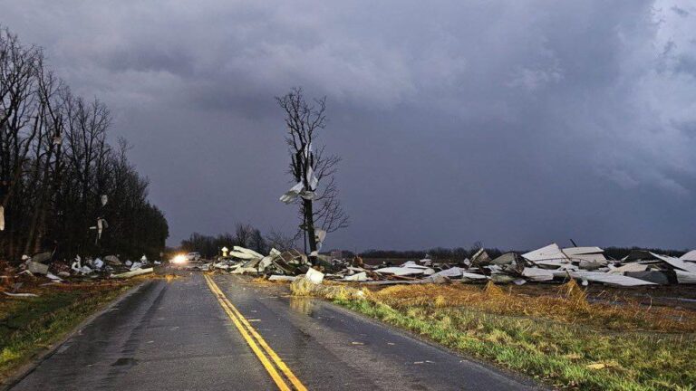 Tornadoes and Dust Storms Leave at Least 34 Dead in Southern US