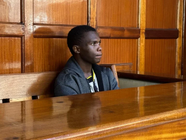 Kenyan Man Arraigned Over X Posts Targeting President Ruto, Prosecutors Cite Threat to National Unity