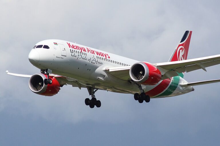 Kenya Airways Flight from New York to Nairobi Diverts After Elderly Passenger Dies Mid-Flight