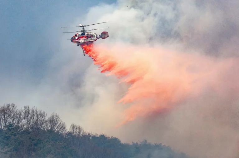 South Korean Firefighting Helicopter Crashes Amid Wildfire Crisis, Killing Pilot