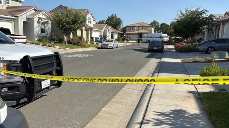 18-Year-Old Arrested in Fatal Shooting of Two Family Members After Domestic Dispute in Elk Grove