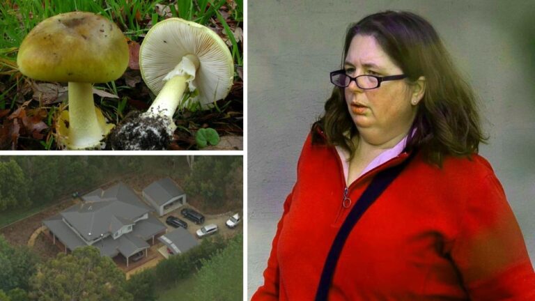 Australian Woman on Trial Over Fatal Mushroom Lunch Tells Court Wild Fungi Have ‘More Flavour’