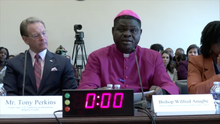 Nigerian Bishop Village Attack Kills 20 After Congress Testimony on Christian Persecution