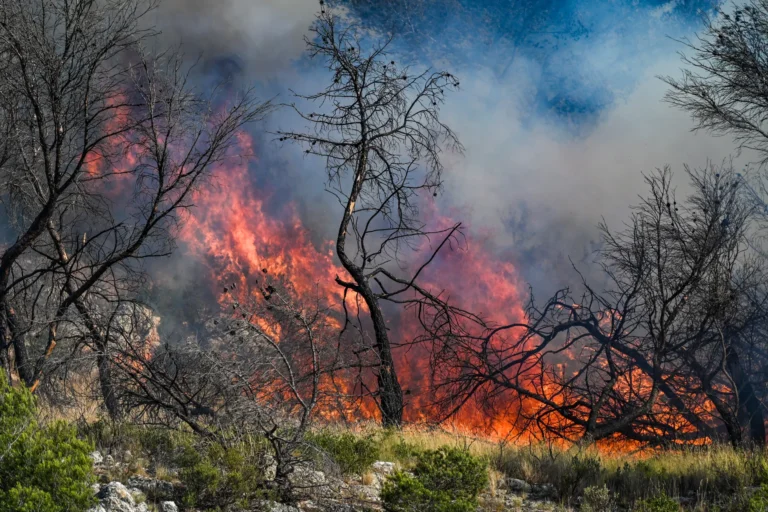 Raging Blazes Force Marseille Airport to Shut as Residents Evacuate, Choking Smoke Billows Over French Region
