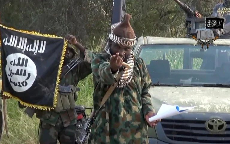 Boko Haram Gunmen Kill 9, Wound 4 in Northeast Nigeria Attack
