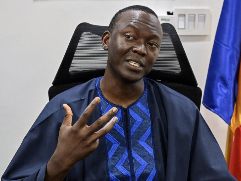 Ex-Chadian Prime Minister Succes Masra Sentenced to 20 Years for Inciting Ethnic Violence