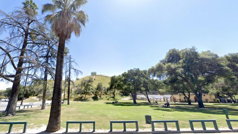 California Woman Mauled to Death by Pack of Stray Dogs in San Bernardino Park